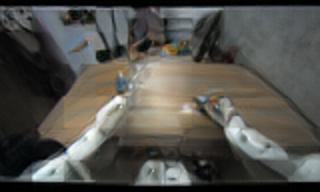 Frozen-RAE reconstruction of ground-truth future DINO features